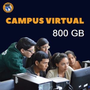 Un grupo de estudiantes y profesionales en un aula de informática, concentrados en sus monitores, simbolizando la colaboración y el alto rendimiento que ofrece un Campus Virtual 800 GB. La imagen representa un entorno de aprendizaje ideal para instituciones con grandes volúmenes de usuarios y datos.