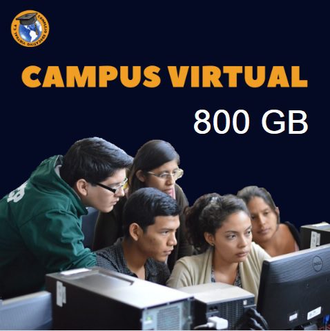 Un grupo de estudiantes y profesionales en un aula de informática, concentrados en sus monitores, simbolizando la colaboración y el alto rendimiento que ofrece un Campus Virtual 800 GB. La imagen representa un entorno de aprendizaje ideal para instituciones con grandes volúmenes de usuarios y datos.