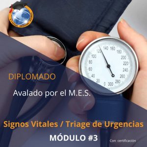 MódulO #3 / TREPH