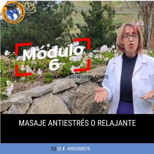 Mod. #6 / Curso de Masoterapia