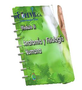 Guía / Experto en Naturología. Mod 2