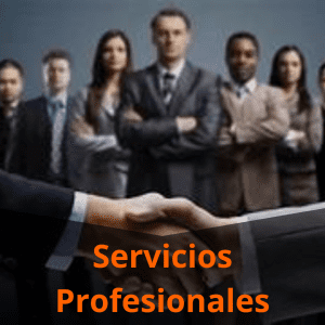 Servicios Profesionales
